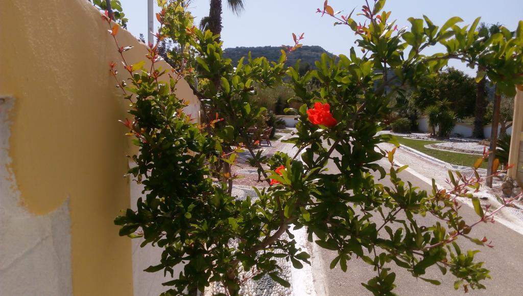 Mosaic Gardens Apartment Faliraki Exterior foto