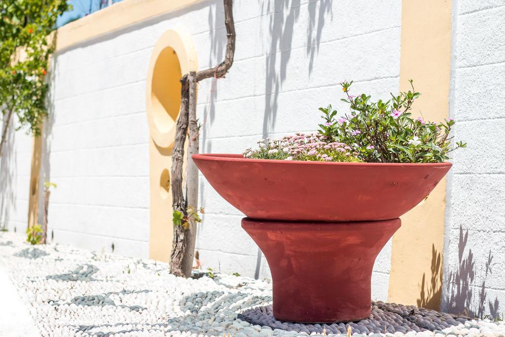 Mosaic Gardens Apartment Faliraki Exterior foto